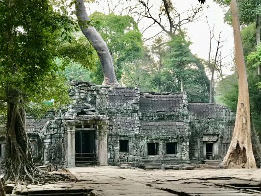 1-DAY ANGKOR SUNSET