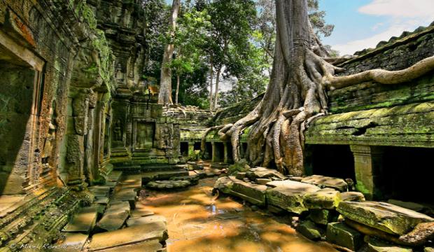Ta Prohm Temple